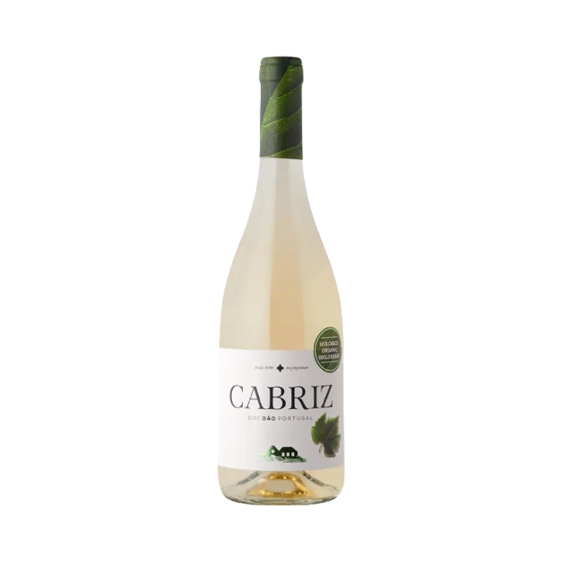 Image de Cabriz Biologico - Vin Blanc