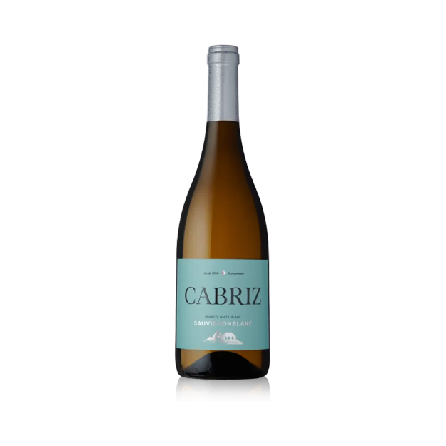Image de Cabriz Sauvignon Blanc - Vin Blanc