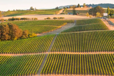 Vins des États-Unis