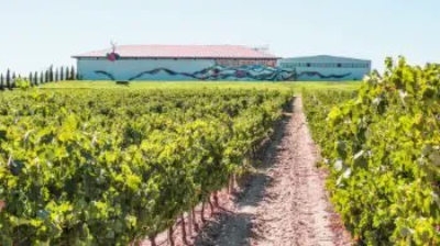 Vins d'Espagne