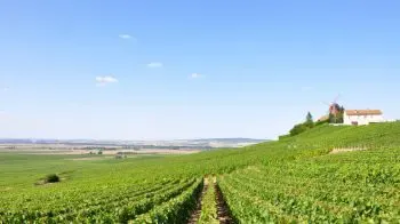 Vins de France