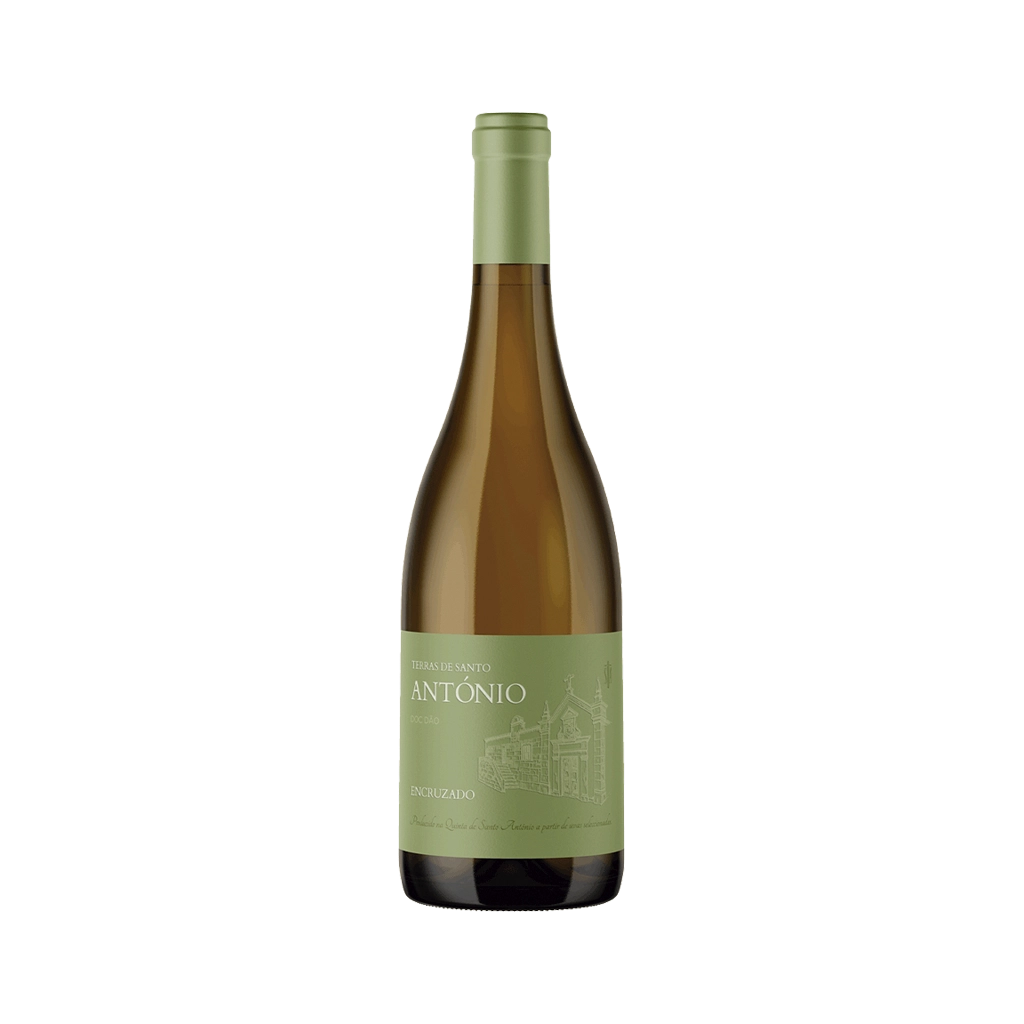 Image de Terras de Santo António Encruzado - Vin Blanc
