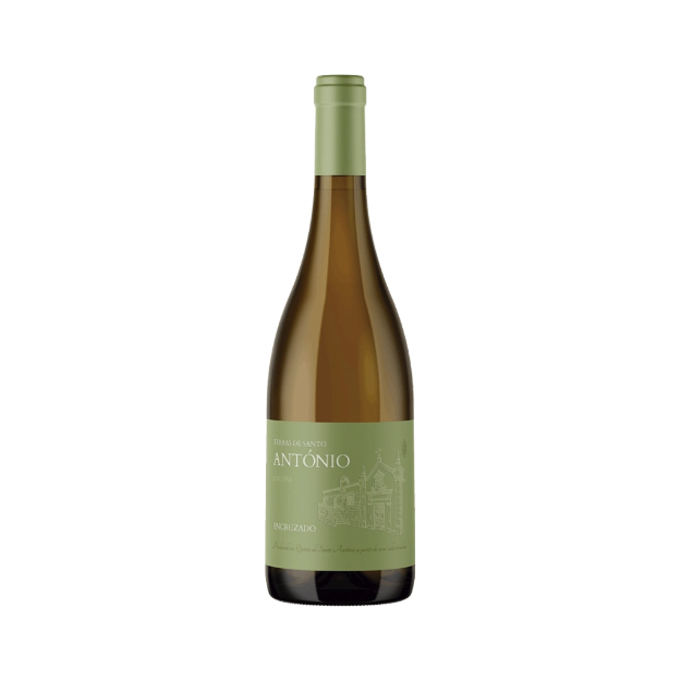 Image de Terras de Santo António Encruzado - Vin Blanc