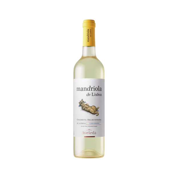 Image de Mandriola de Lisboa - Vin Blanc