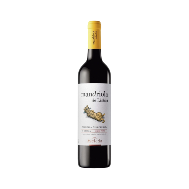 Image de Mandriola de Lisboa - Vin Rouge