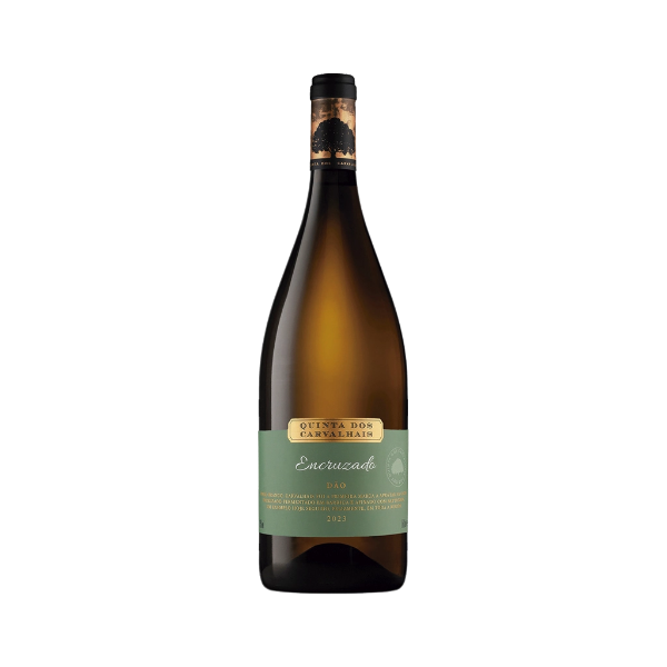 Image de Quinta dos Carvalhais Encruzado Magnum - Vin Blanc