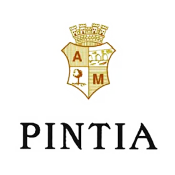Image du fabricant Pintia
