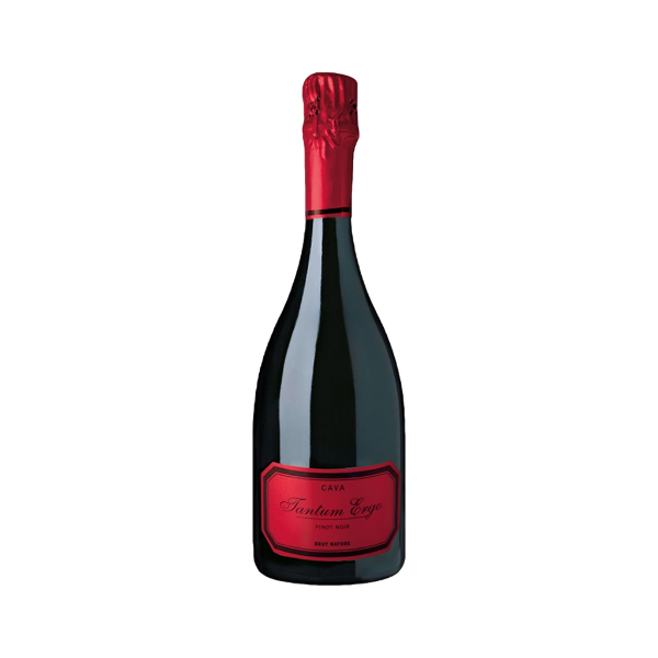 Image de Cava Tantum Ergo Pinot Noir Rosé - Vin Pétillant