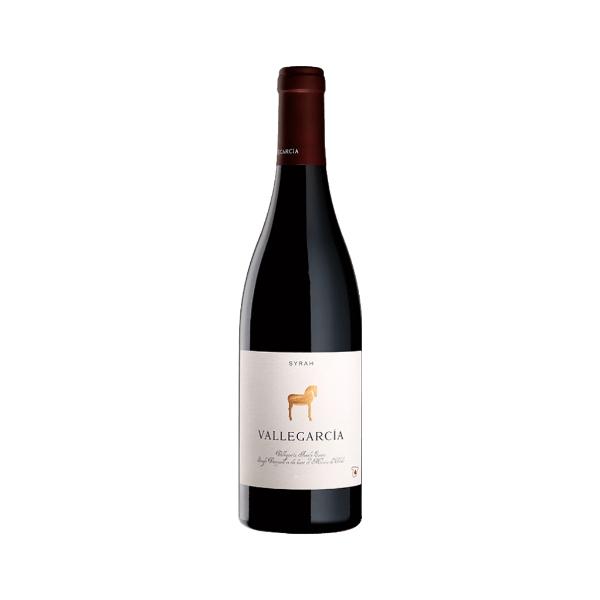 Image de Vallegarcia Syrah Magnum - Vin Rouge