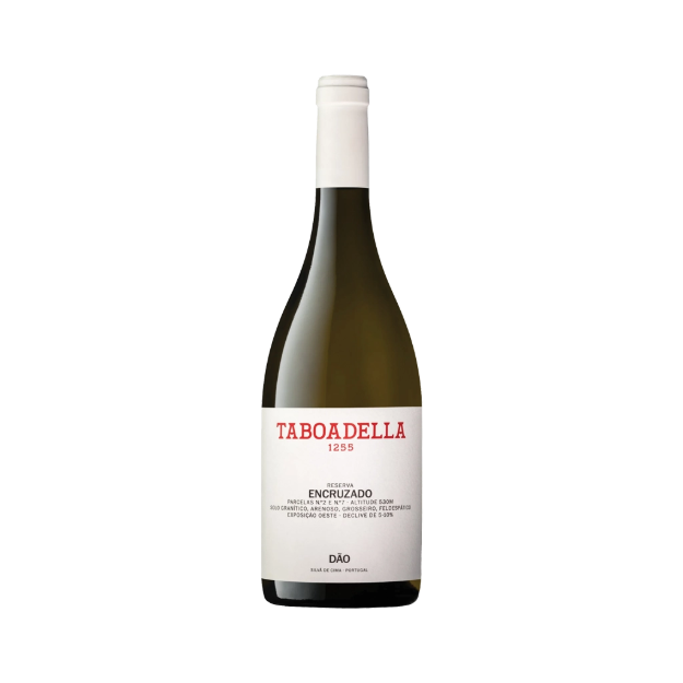 Picture of Taboadella Reserve Encruzado - White Wine
