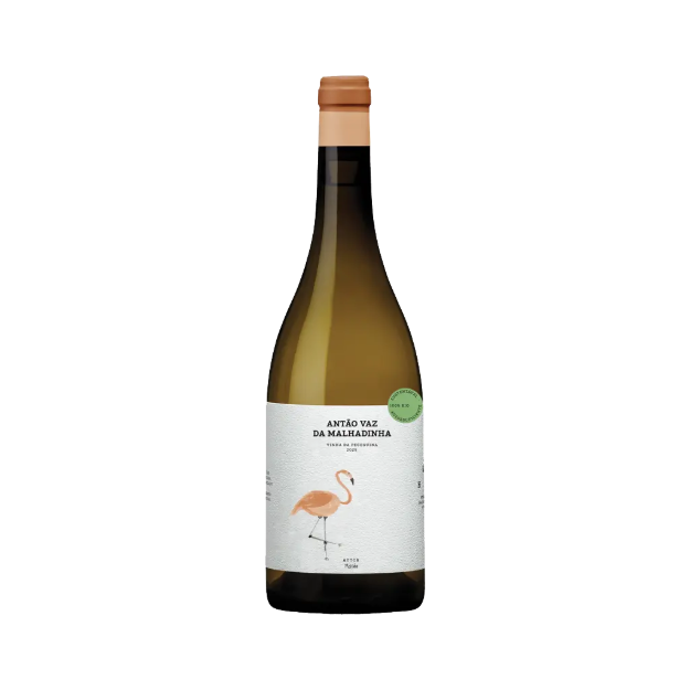 Image de Antão Vaz da Malhadinha - Vin Blanc