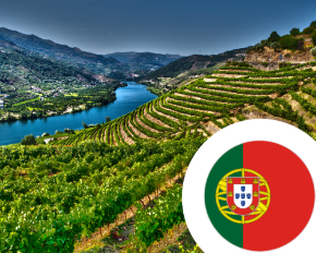 Image de la catégorie Vin du Portugal