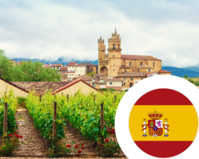 Image de la catégorie Vin d'Espagne