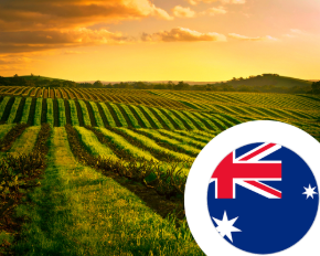Image de la catégorie Vin d'Australie
