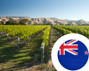 Image de la catégorie Vin de Nouvelle-Zélande