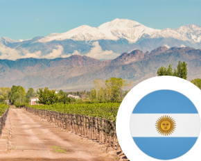 Image de la catégorie Vin d'Argentine
