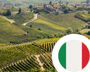 Image de la catégorie Vin d'Italie