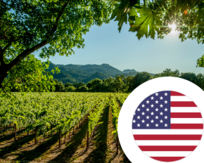 Image de la catégorie Vin des États-Unis