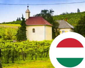 Image de la catégorie Vin de Hongrie