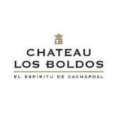 Image de la catégorie Château Los Boldos