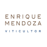 Image de la catégorie Bodegas Enrique Mendoza