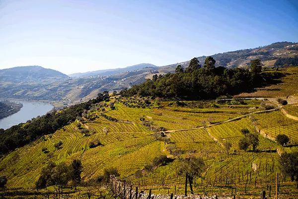 Porto e Douro