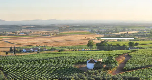 l'Alentejo