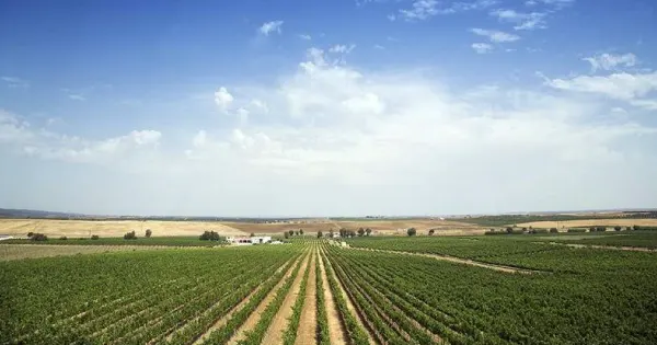 l'Alentejo